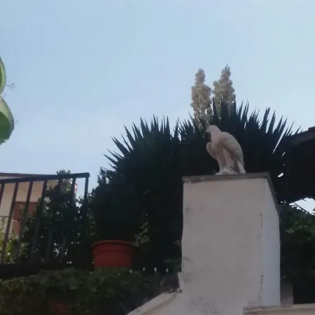 La Pennichella *